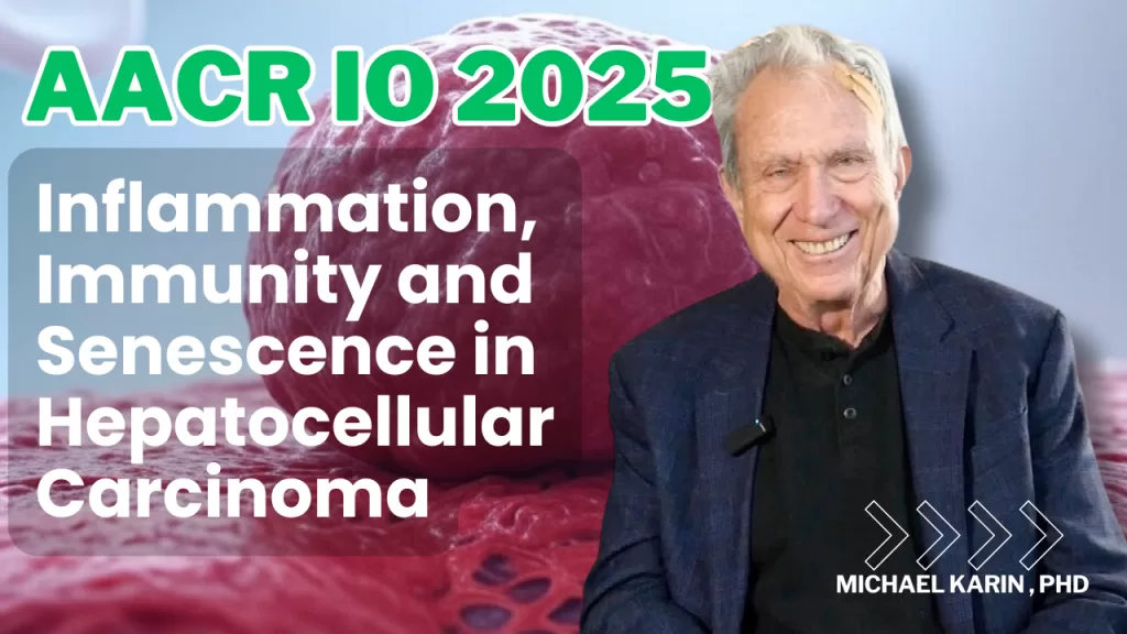 Thumbnail for a 2025 AACR IO presentation featuring Michael Karin, PhD, speaking on 'Inflammation, Immunity, and Senescence in Hepatocellular Carcinoma.' The image shows a smiling man in a blue suit jacket against a light background, with a red liver tissue graphic and bold green and white text reading 'AACR IO 2025' and the presentation title.